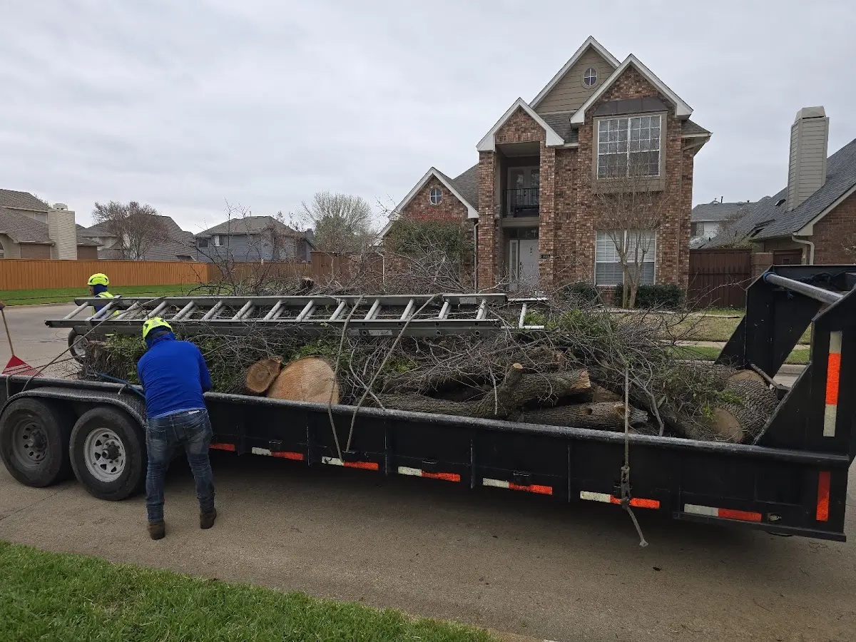 Expert Tree Fertilization with proper safety equipment in Toponas